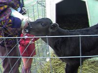 Farm Visit 8