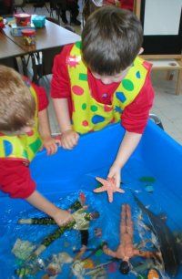 School Events